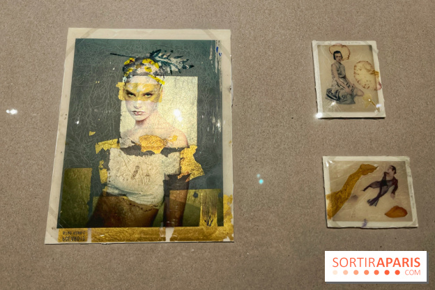 Paolo Roversi - IMG 9472