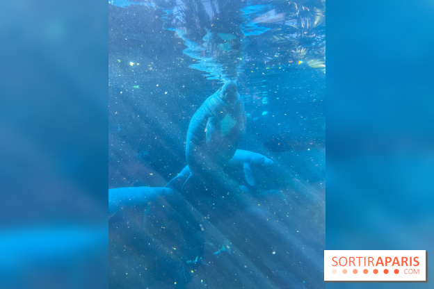 Zoo de Vincennes, Parc zoologique 2024 - nos photos - image00042