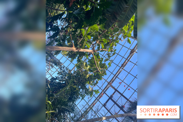 Zoo de Vincennes, Parc zoologique 2024 - nos photos - image00036