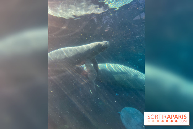 Zoo de Vincennes, Parc zoologique 2024 - nos photos - image00037