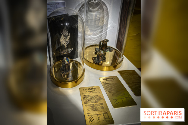 Exposition Cyber Surréalisme à la galerie Goldshteyn-Saatort - IMG 5255