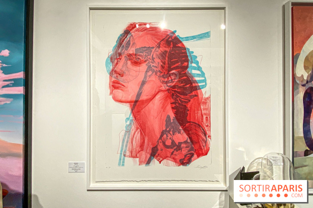 Exposition Cyber Surréalisme à la galerie Goldshteyn-Saatort - IMG 5266