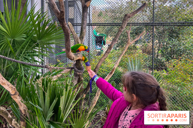 Visuels enfants, attractions, parc, Jardin d'Acclimatation, animaux, zoo - image00034