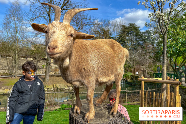 Visuels enfants, attractions, parc, Jardin d'Acclimatation, animaux, zoo - image00052