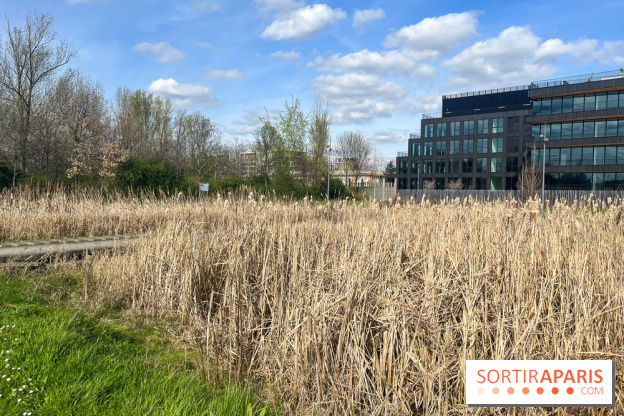 Parc des Impressionnistes à Clichy - nos photos - image00007