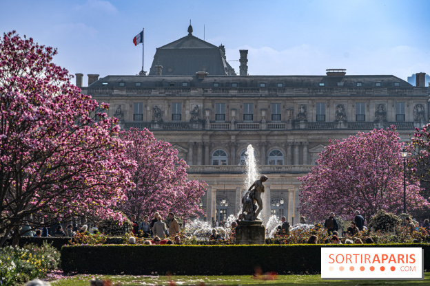 Les magnolias du Jardin du Palais Royal  - printemps - visuel Paris