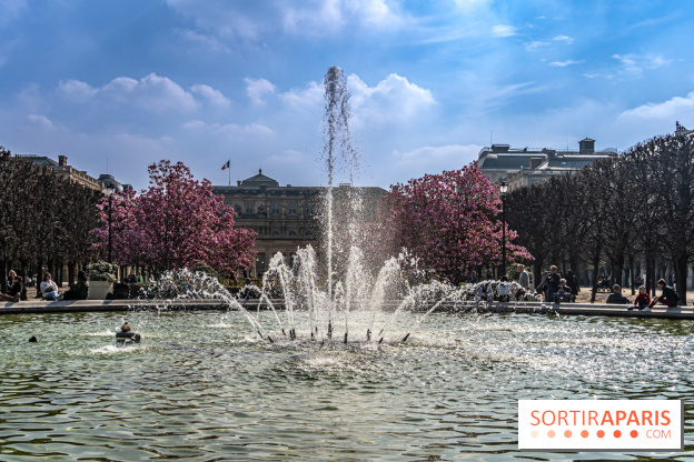 Les magnolias du Jardin du Palais Royal  - printemps - visuel Paris - fontaine - chaleur - beau temps