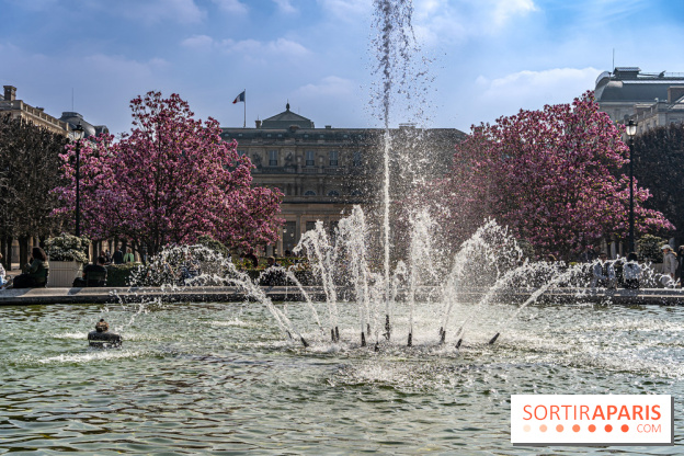 Les magnolias du Jardin du Palais Royal  - printemps - visuel Paris - fontaine - chaleur - beau temps