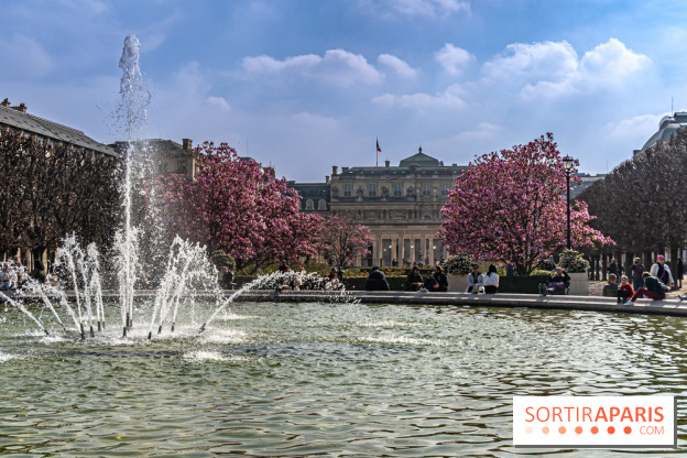 Les magnolias du Jardin du Palais Royal  - printemps - visuel Paris - fontaine - chaleur - beau temps