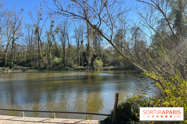 Lac de Saint-Mandé - nos photos - WhatsApp Image 2024 03 22 à 16.12.09 927d444d