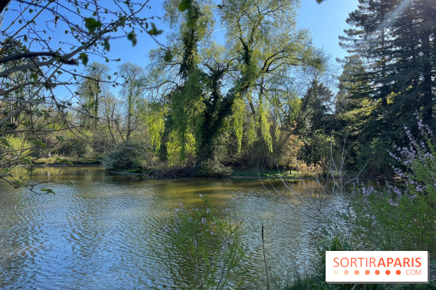 Lac de Saint-Mandé - nos photos - WhatsApp 03 22 à 16.12.39 4c5a0a5e