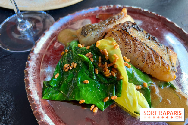 LAVA - Lieu jaune au miso