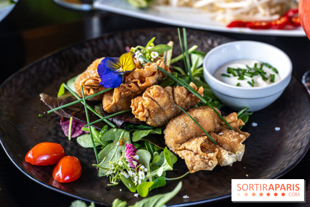 Didi Saigon, le restaurant vietnamien de Villiers sur Marne (94) -  raviolis aux crevettes