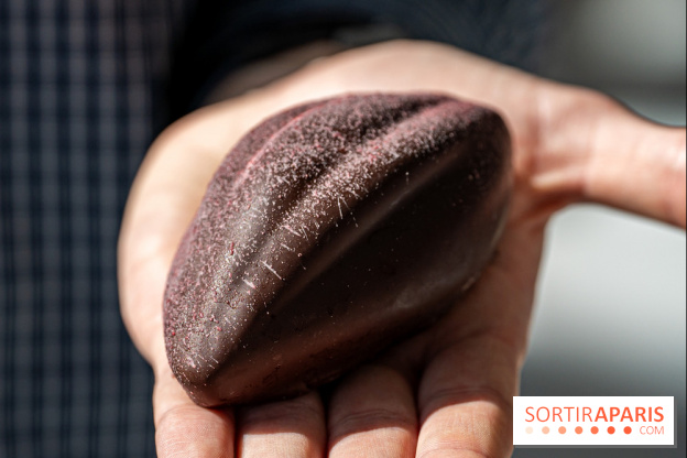 Les pâtisseries chocolatés de Pâques de Bo & Mie 2024 -  A7C9731