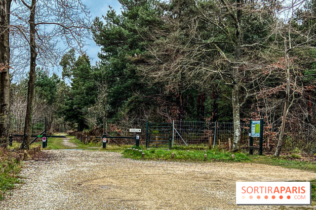 Arbor&Sens, l'Arboretum de Franchard en forêt de Fontainebleau - les photos - IMG 7960