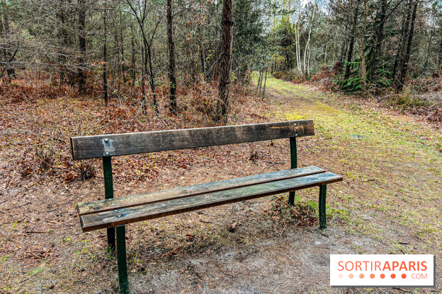Arbor&Sens, l'Arboretum de Franchard en forêt de Fontainebleau - les photos - IMG 7934