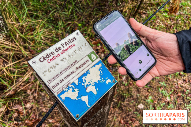 Arbor&Sens, l'Arboretum de Franchard en forêt de Fontainebleau - les photos - IMG 7907