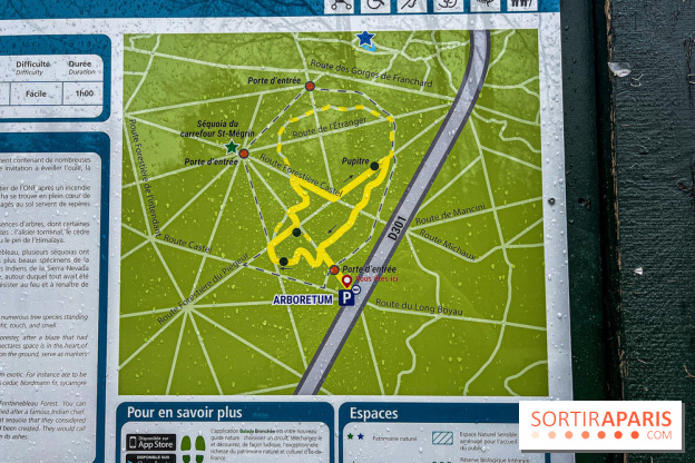 Arbor&Sens, l'Arboretum de Franchard en forêt de Fontainebleau - les photos - IMG 7899