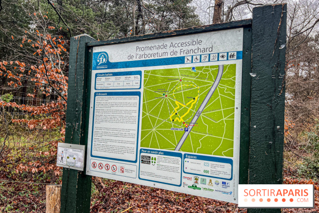 Arbor&Sens, l'Arboretum de Franchard en forêt de Fontainebleau - les photos