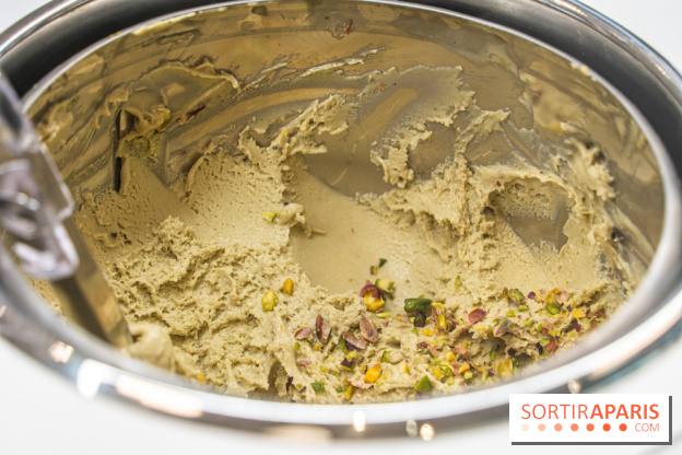 Brigat' Gelato - la glacerie Place des Vosges -  A7C9906