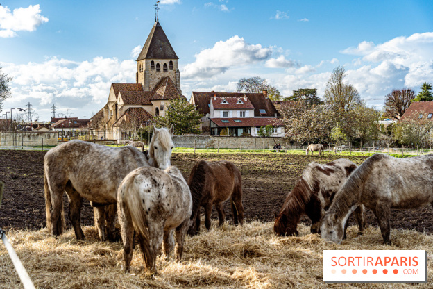 Le Parc du Château de Plaisir (78) - photos -  A7C0032