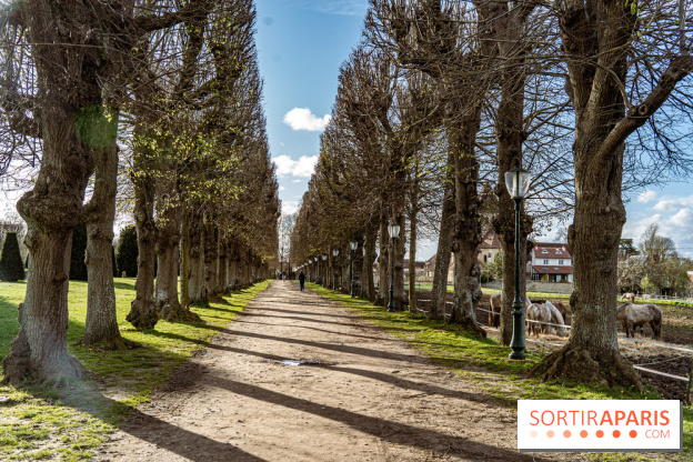 Le Parc du Château de Plaisir (78) - photos -  A7C0029