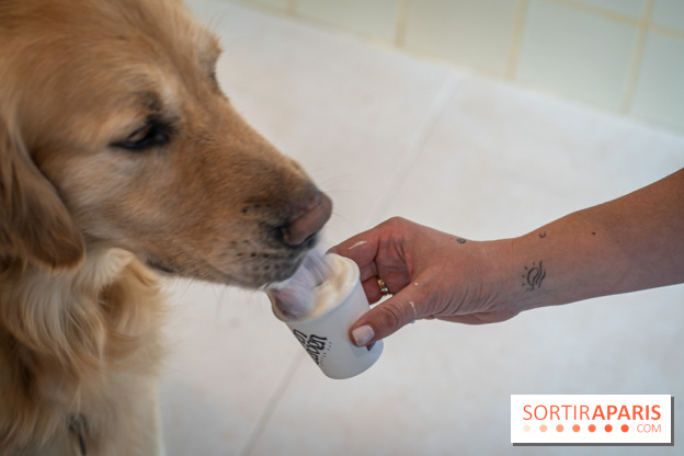 Seven Heaven, le coffee shop dog's friendly et kid's friendly de Paris 11e - River