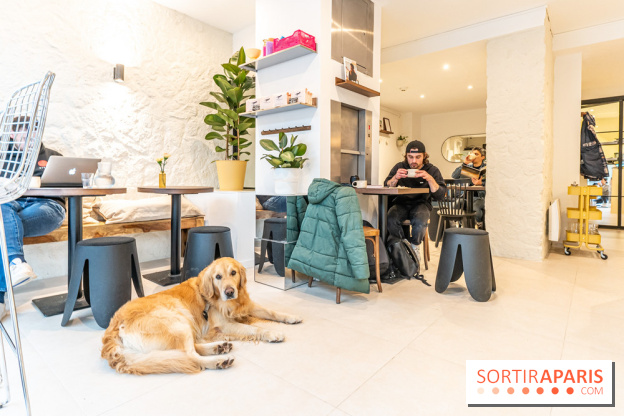 Seven Heaven, le coffee shop dog's friendly et kid's friendly de Paris 11e -  A7C0496