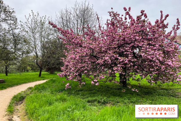 Arboretum de Paris - nos photos - image00036