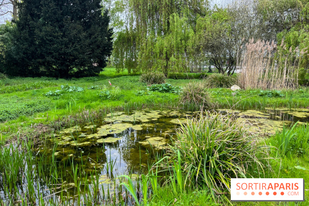 Arboretum de Paris - nos photos - image00039