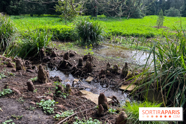 Arboretum de Paris - nos photos - image00031