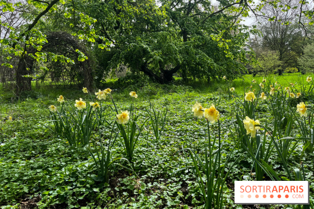 Jardin de l'Ecole du Breuil - nos photos