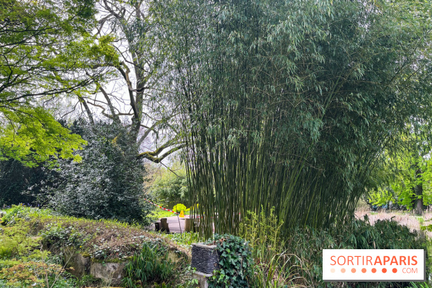 Jardin de l'Ecole du Breuil - nos photos