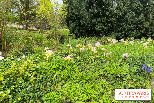 Jardin de l'Ecole du Breuil - nos photos