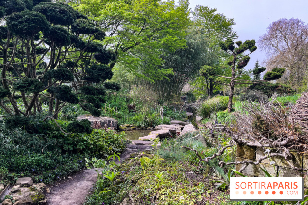 Jardin de l'Ecole du Breuil - nos photos - image00019
