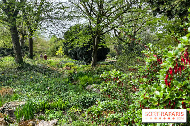 Jardin de l'Ecole du Breuil - nos photos