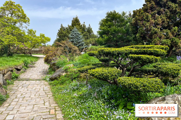 Jardin de l'Ecole du Breuil - nos photos - image00017