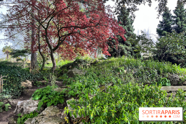 Jardin de l'Ecole du Breuil - nos photos
