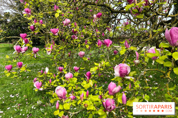 Jardin de l'Ecole du Breuil - nos photos