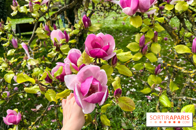 Jardin de l'Ecole du Breuil - nos photos - image00011