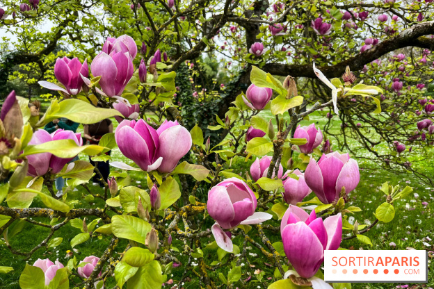 Jardin de l'Ecole du Breuil - nos photos - image00012