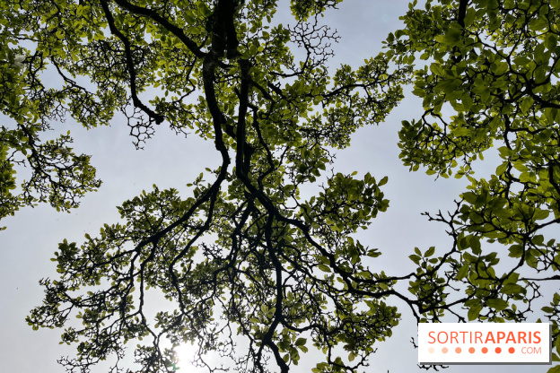 Jardin de l'Ecole du Breuil - nos photos - image00013