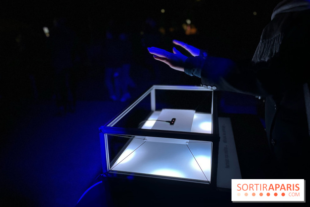 Les Nocturnes de l'Impressionnisme - IMG 0302