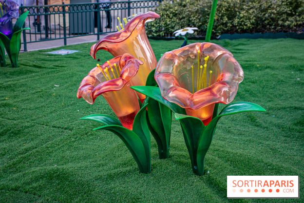 La Symphonie des Couleurs Disney à Disneyland Paris - DSC 9972