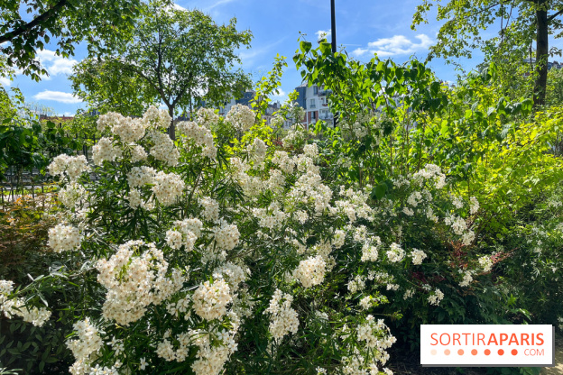 Jardin René Binet - nos photos - image00014