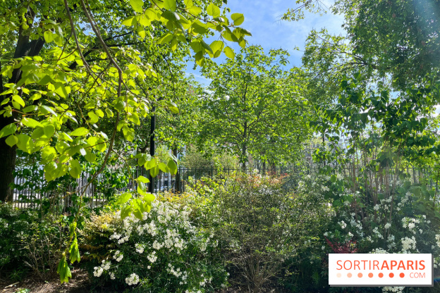 Jardin René Binet - nos photos - image00015