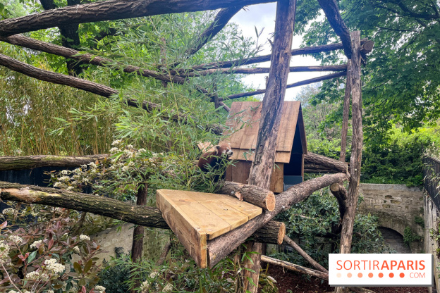 Ménagerie du Jardin des Plantes 2024 - nos photos - image00021