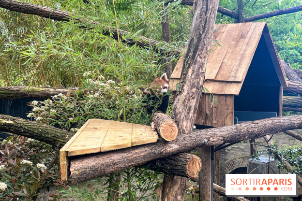 Ménagerie du Jardin des Plantes 2024 - nos photos - image00019