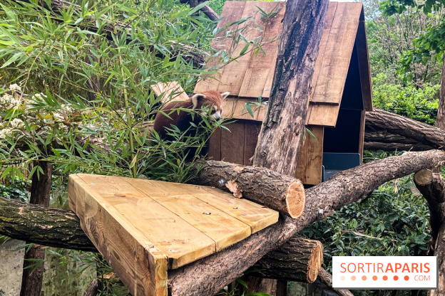 Ménagerie du Jardin des Plantes 2024 - nos photos - image00020