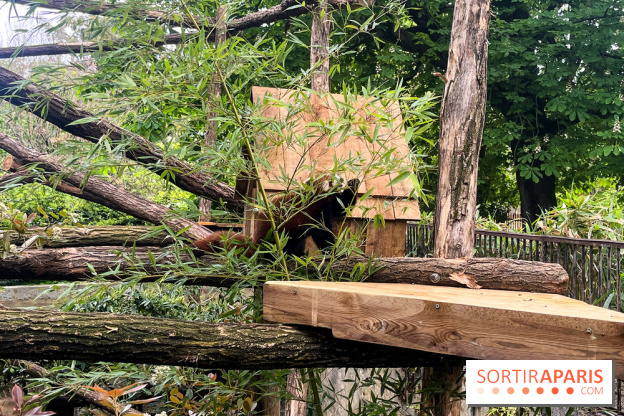 Ménagerie du Jardin des Plantes 2024 - nos photos - image00014